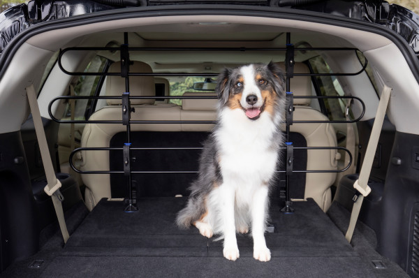 Jagd & Hund Shop - PetSafe® Happy Ride™ Hundeschutzgitter aus Metall